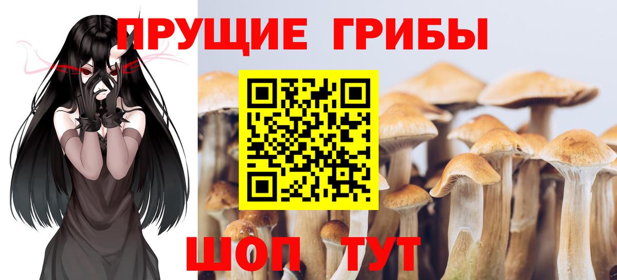Галлюциногенные грибы прущие грибы  Вход с VPN  Псилоцибиновые грибы прущие грибы  Семёнов 