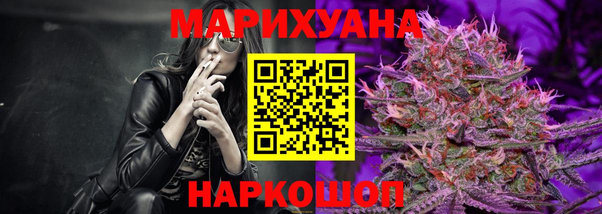 Семёнов  Бошки Шишки планчик  Вход с VPN  Бошки Шишки гибрид  Марихуана ГИДРОПОН 